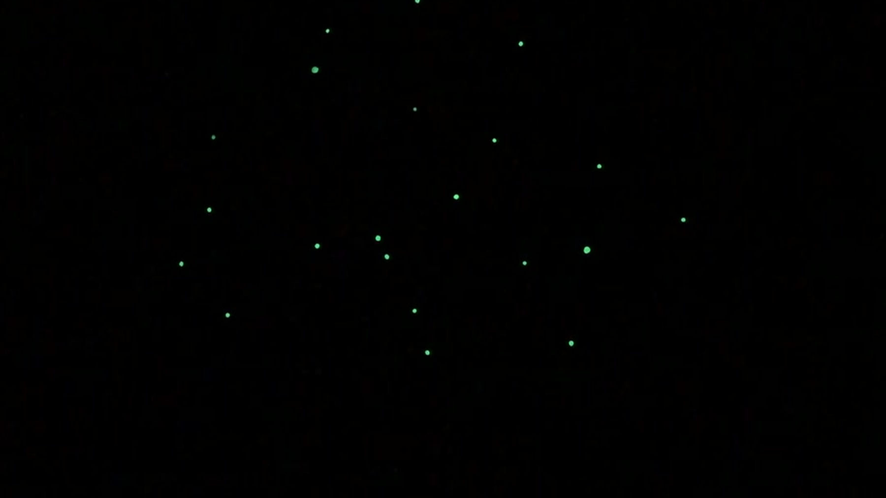 "Glow in the dark"